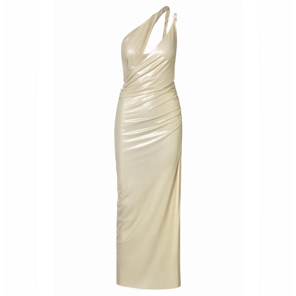 Nwt Baobab Gold Dress